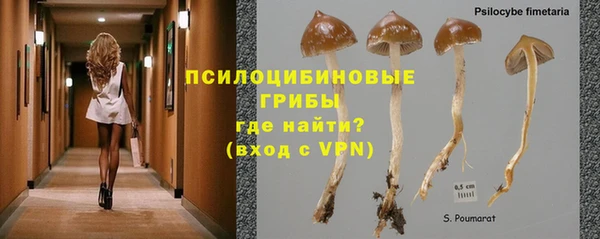 таблы Алзамай