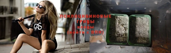 стафф Алексеевка