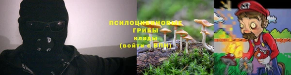 стафф Алексеевка
