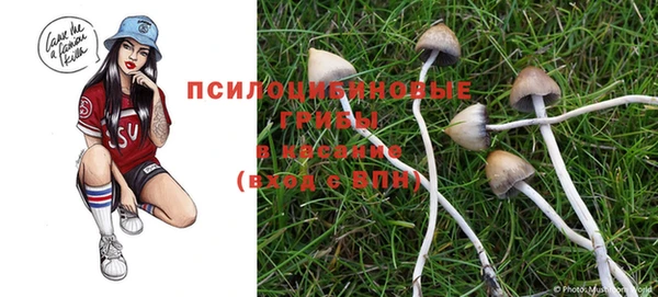стафф Алексеевка