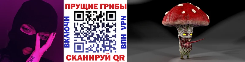 Псилоцибиновые грибы прущие грибы  дарнет шоп  Хотьково 